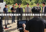 魔兽世界双采集插件（魔兽双采集技能是什么）
