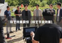 综艺效果震惊（综艺节目效果）