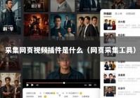 采集网页视频插件是什么（网页采集工具）