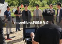 cmsuefibios的简单介绍