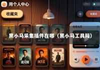 黑小马采集插件在哪（黑小马工具箱）