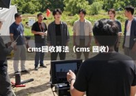 cms回收算法（cms 回收）