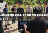 大脚插件和采集助手（大脚插件采集助手叫什么名字）