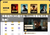 采集插件CMS是什么（cms采集站怎么做起来）