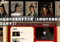 大脚插件采集助手怎么用（大脚插件采集助手怎么用不了）