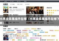 小黑盒采集插件在哪（小黑盒采集插件在哪下载）