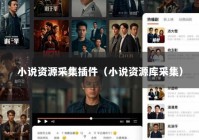 小说资源采集插件（小说资源库采集）