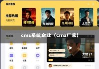 cms系统企业（cms厂家）