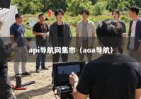 api导航网集市（aoa导航）