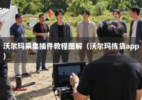 沃尔玛采集插件教程图解（沃尔玛拣货app）