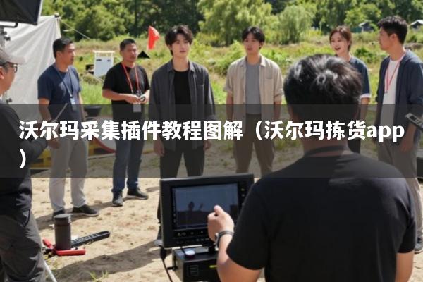 沃尔玛采集插件教程图解(沃尔玛拣货app)